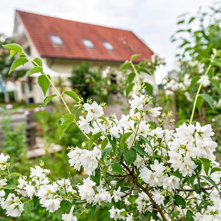 Beutenmuehle Straussenfarm Dach Owingen Exterior foto