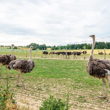 Beutenmuehle Straussenfarm Dach Owingen Exterior foto