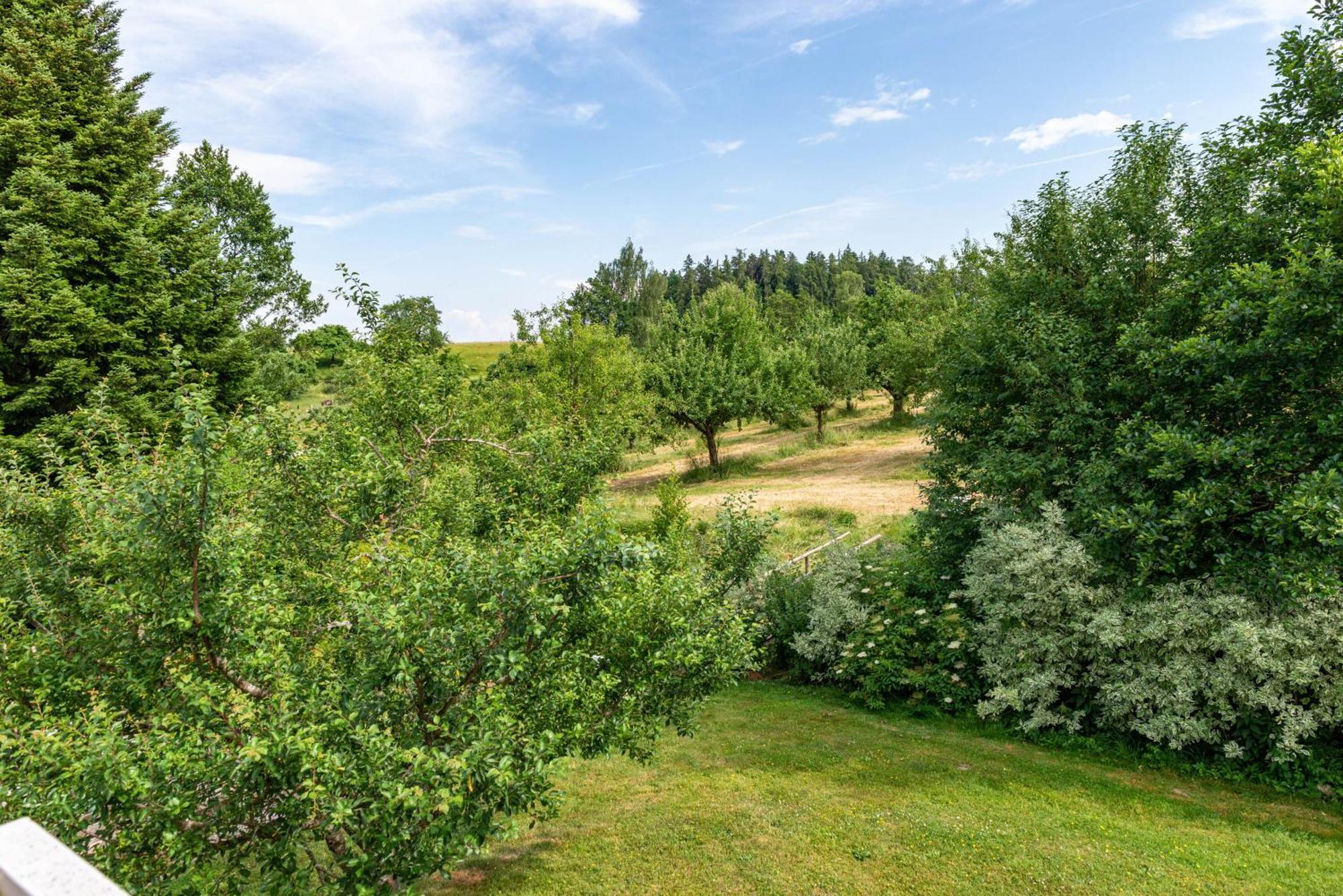 Beutenmuehle Straussenfarm Dach Owingen Exterior foto